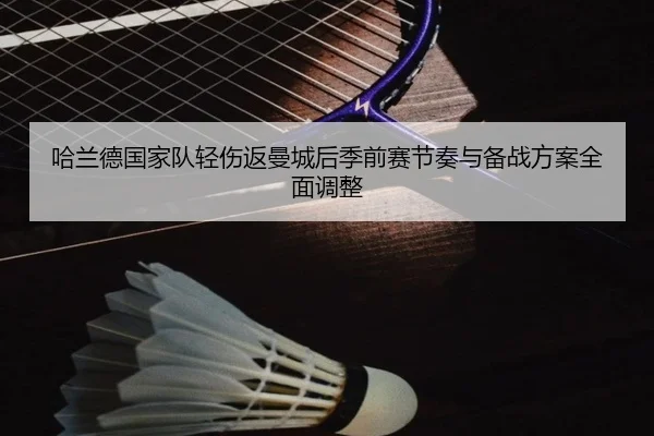 哈兰德国家队轻伤返曼城后季前赛节奏与备战方案全面调整